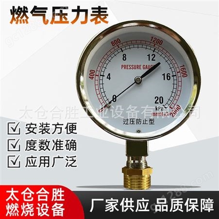 燃气压力表燃气管压力表 不锈钢燃气管道压力表指针型 燃烧机配件